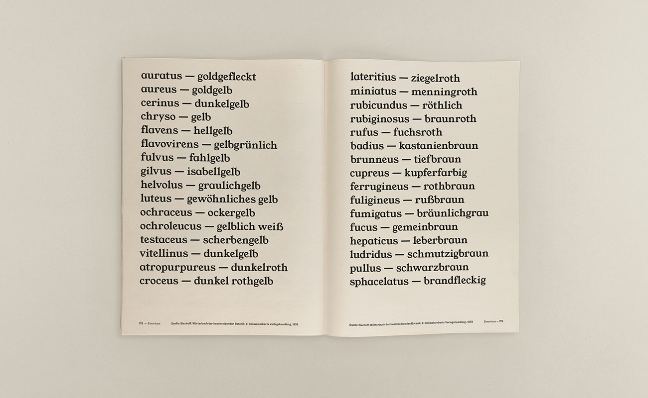 Doppelseite mit einer typografischen Aufzählung