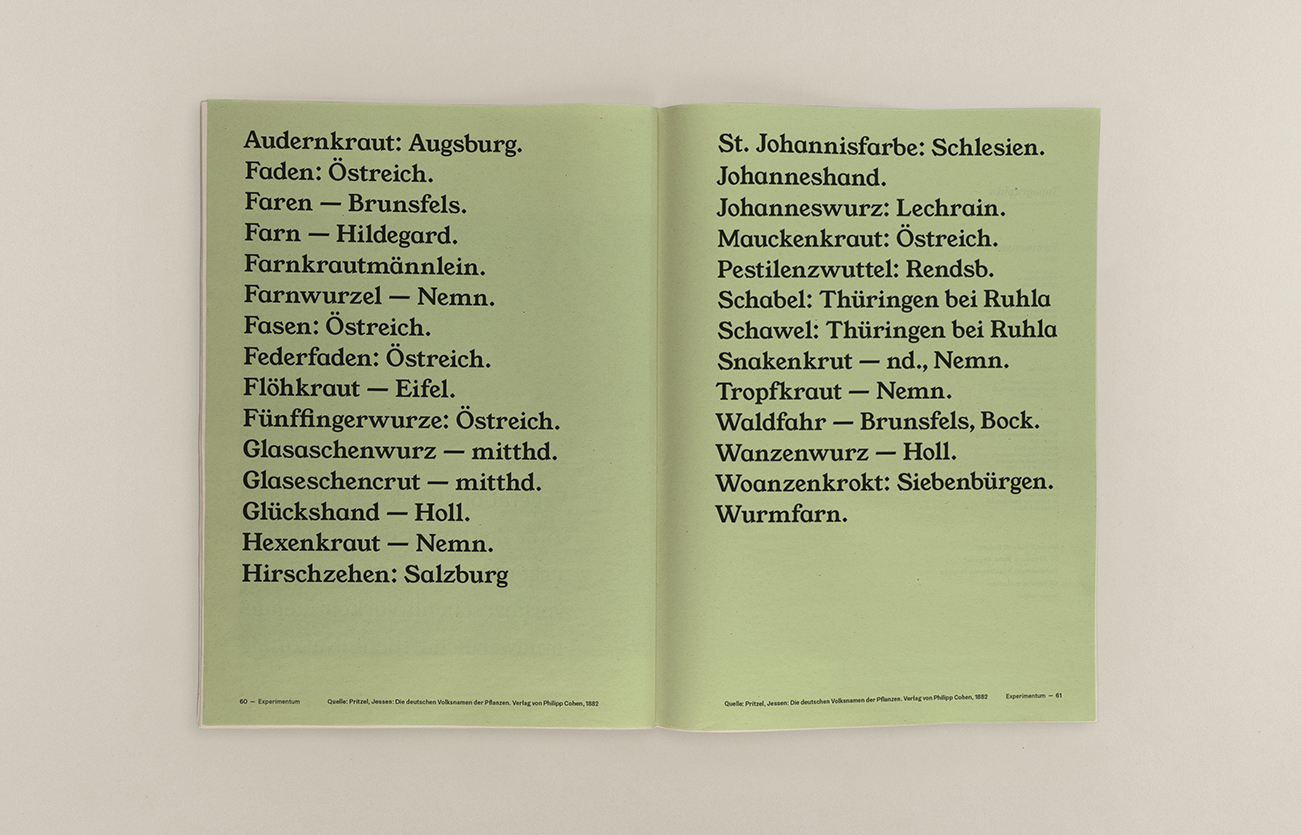 Aufgeschlagenes Magazin mit Typografie